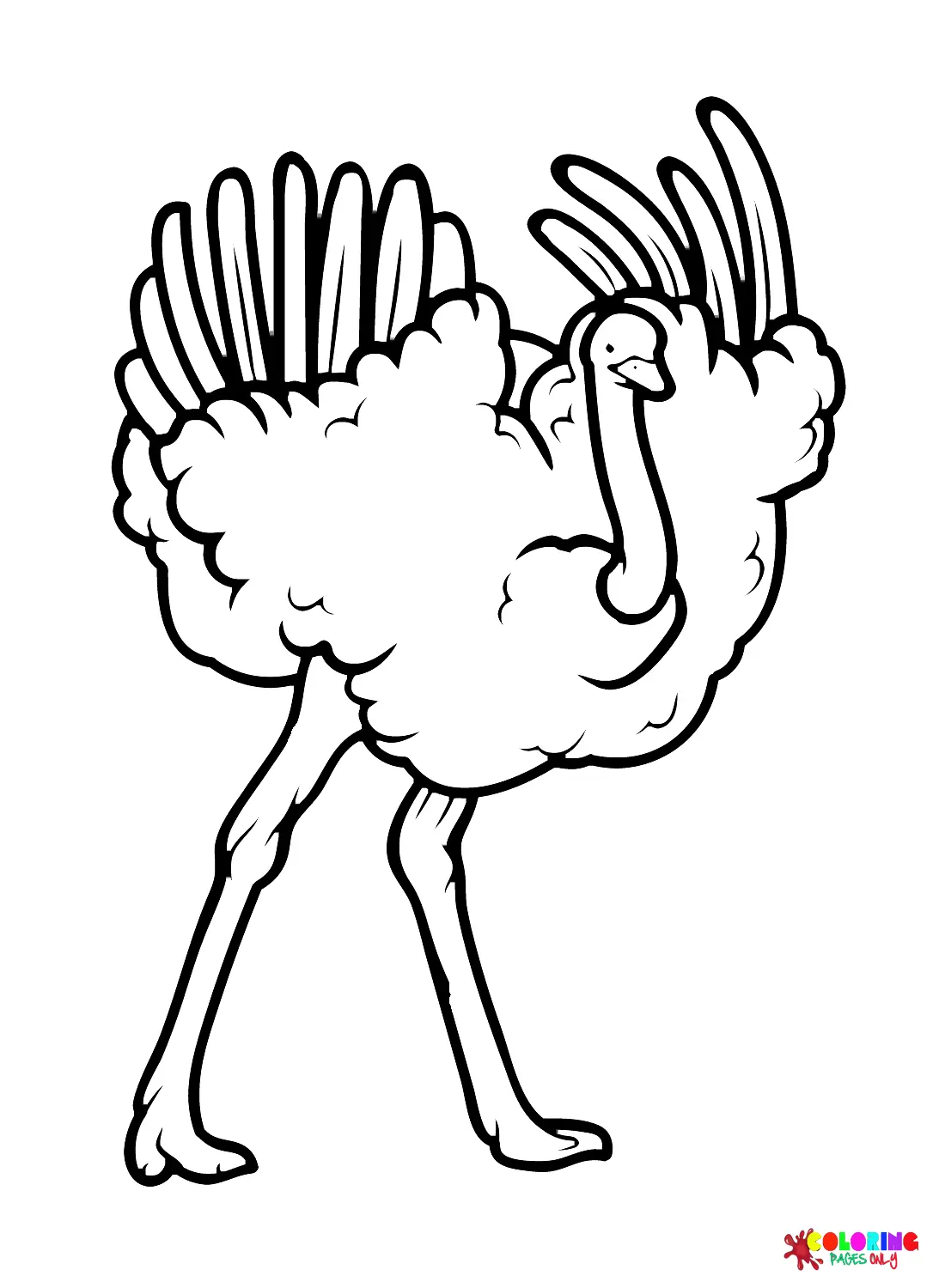 Ostrich Coloring Pages 13
