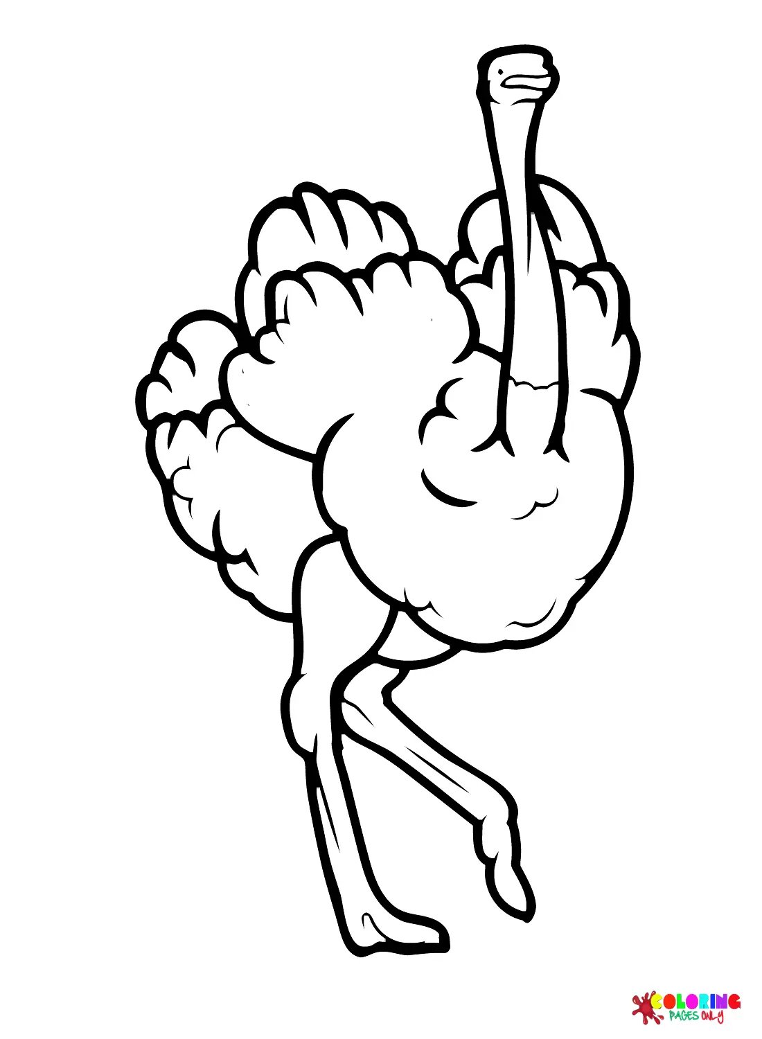 Ostrich Coloring Pages 31