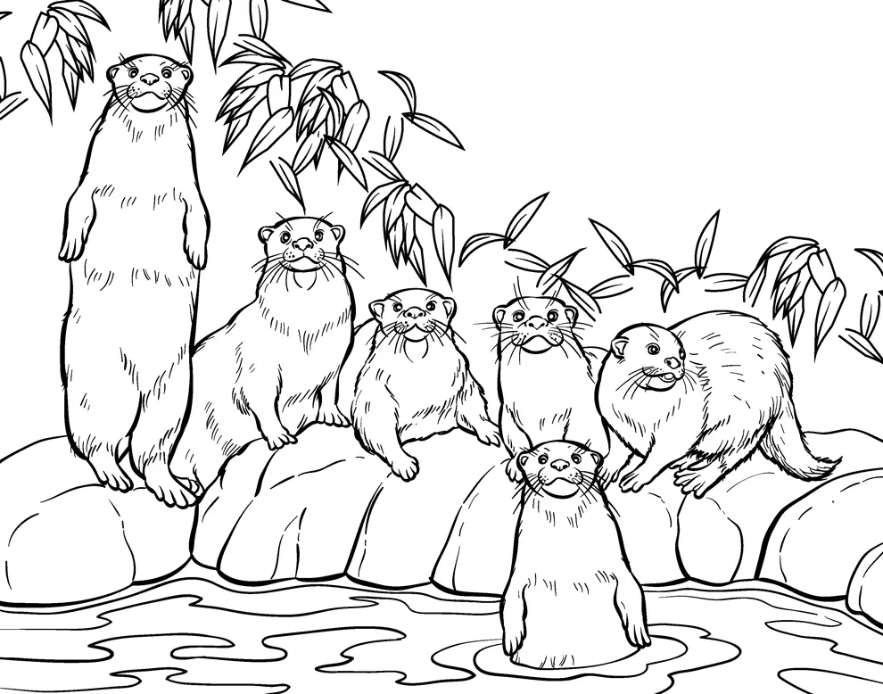 Otter Coloring Pages 105