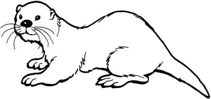 Otter Coloring Pages 126