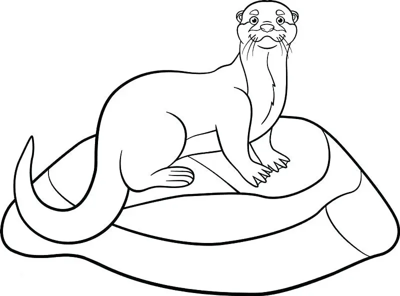 Otter Ausmalbilder 20