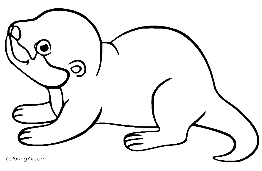 Otter Ausmalbilder 22