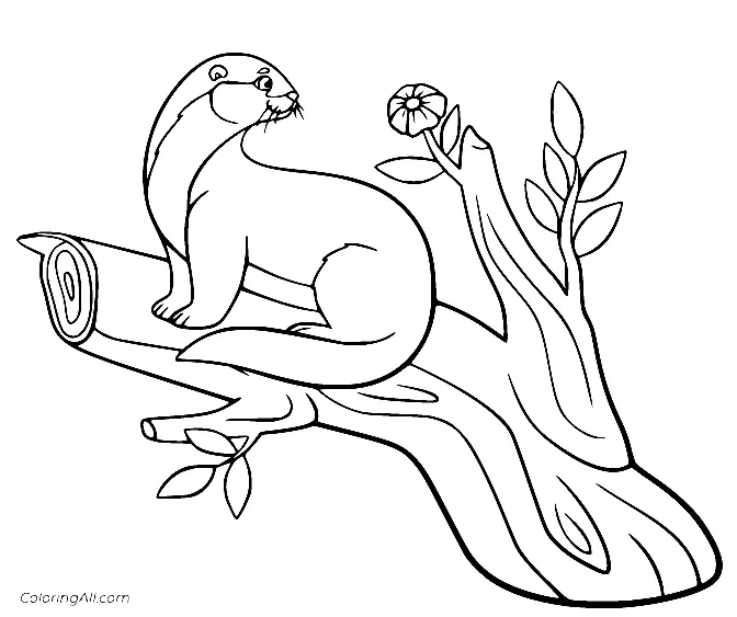 Otter Ausmalbilder 25