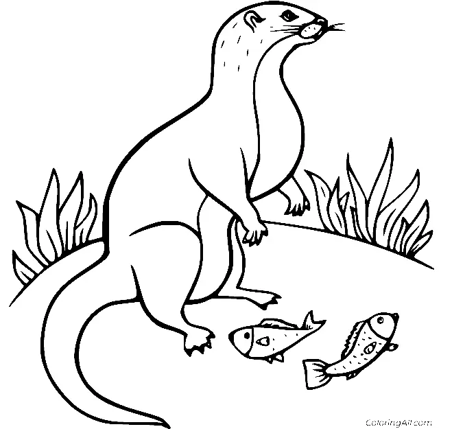 Otter Coloring Pages 37