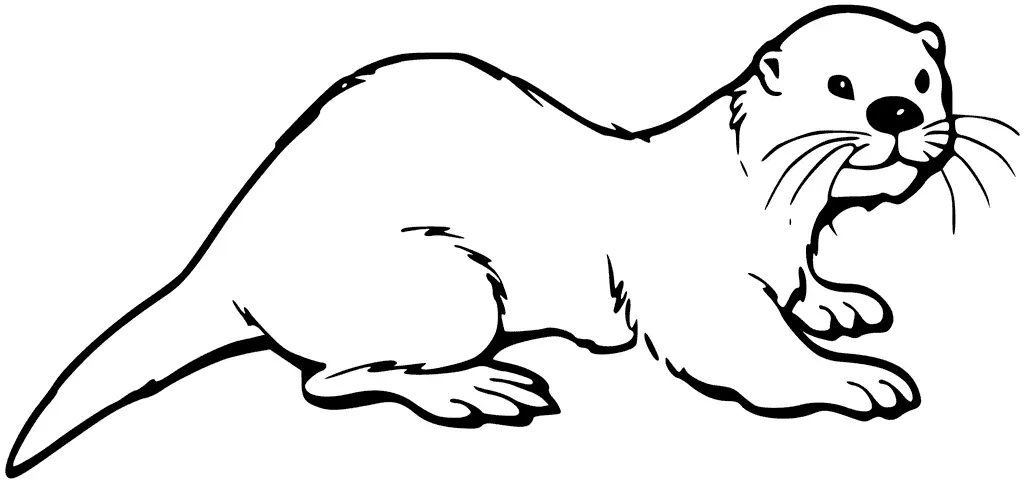 Otter Coloring Pages 53