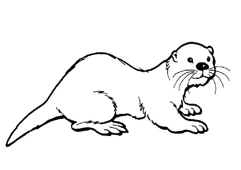 Otter Coloring Pages 67