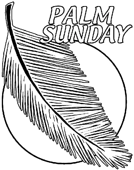 Desenhos de Folha de Palmeira Para Colorir 10