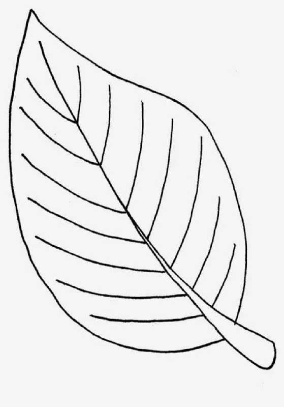 Desenhos de Folha de Palmeira Para Colorir 7
