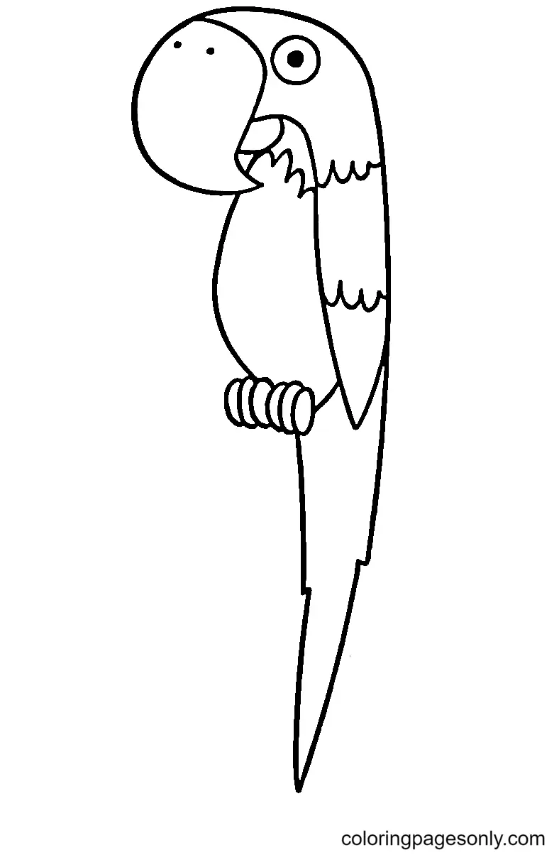 Loros Para Colorear 57