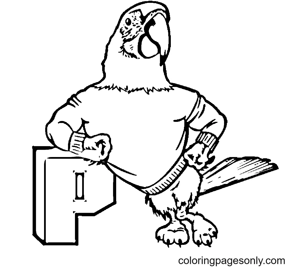 Desenhos de Papagaio Para Colorir 75