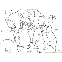 Peter Rabbit para Colorear 2