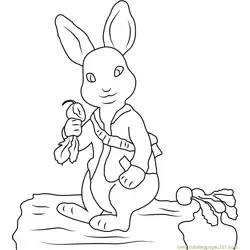 Peter Rabbit para Colorear 3