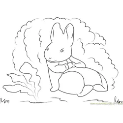Peter Rabbit para Colorear 6