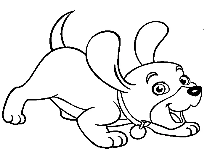Haustier Ausmalbilder 9
