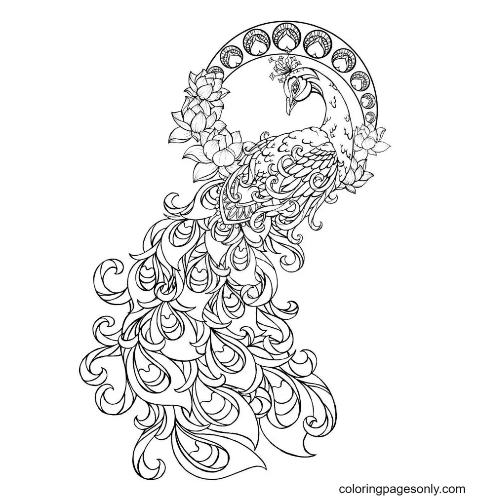Phoenix Coloring Pages 12