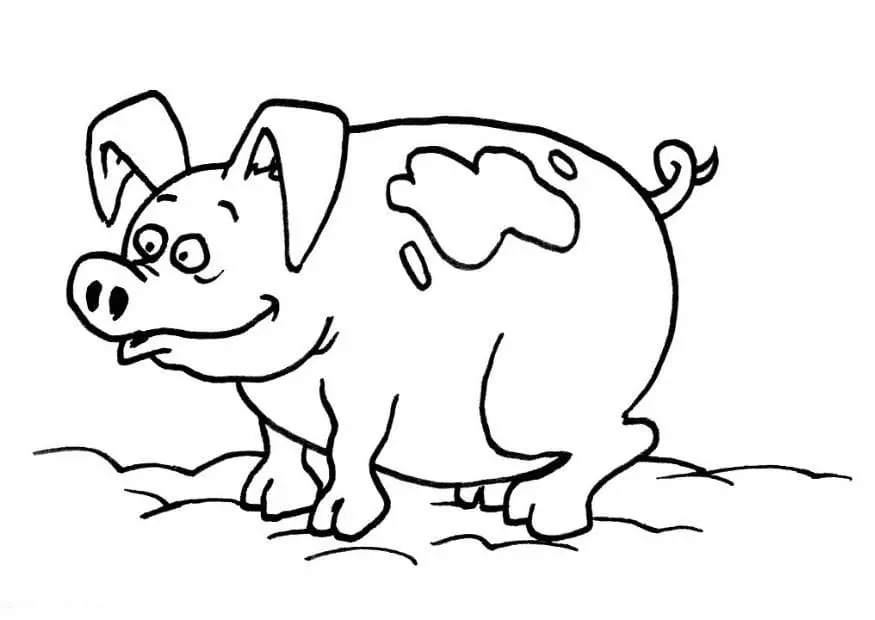 Cerdos Para Colorear 14