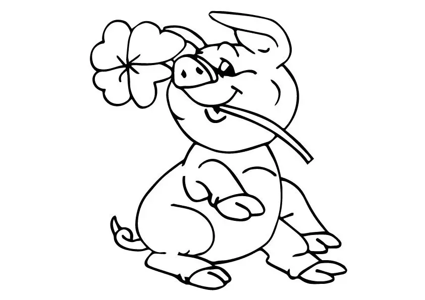 Cerdos Para Colorear 19