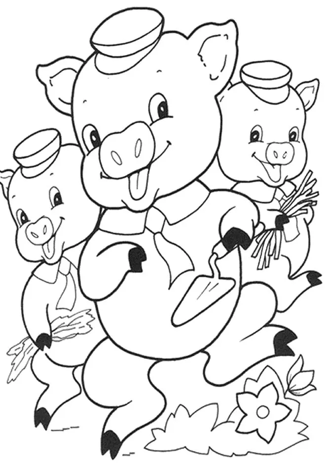 Desenhos de Porco Para Colorir 29