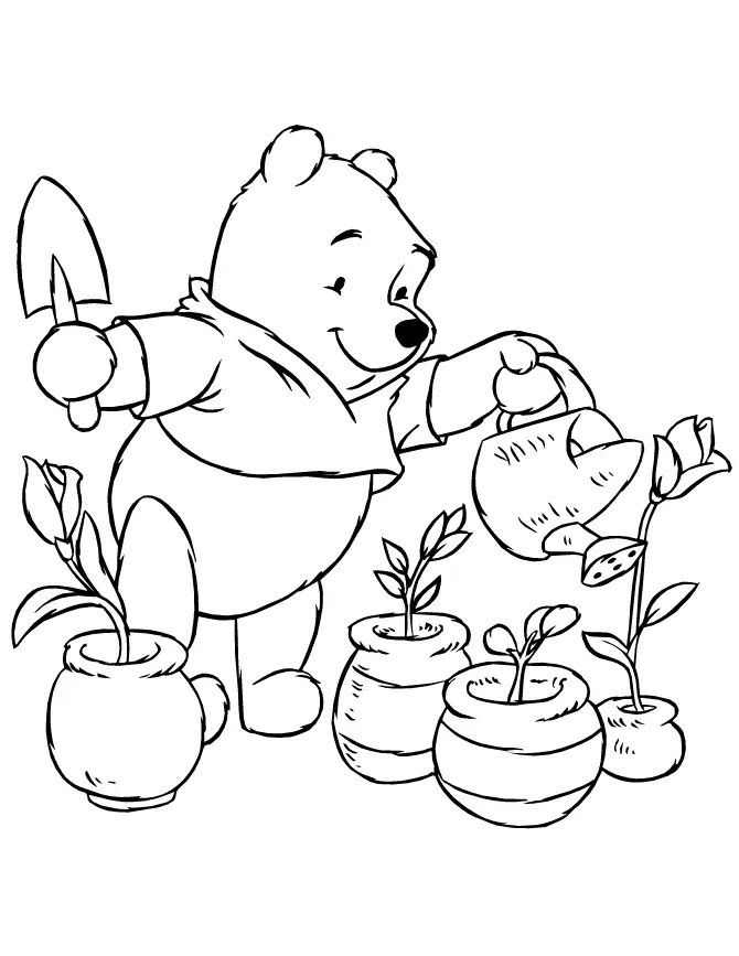 Plantas Para Colorear