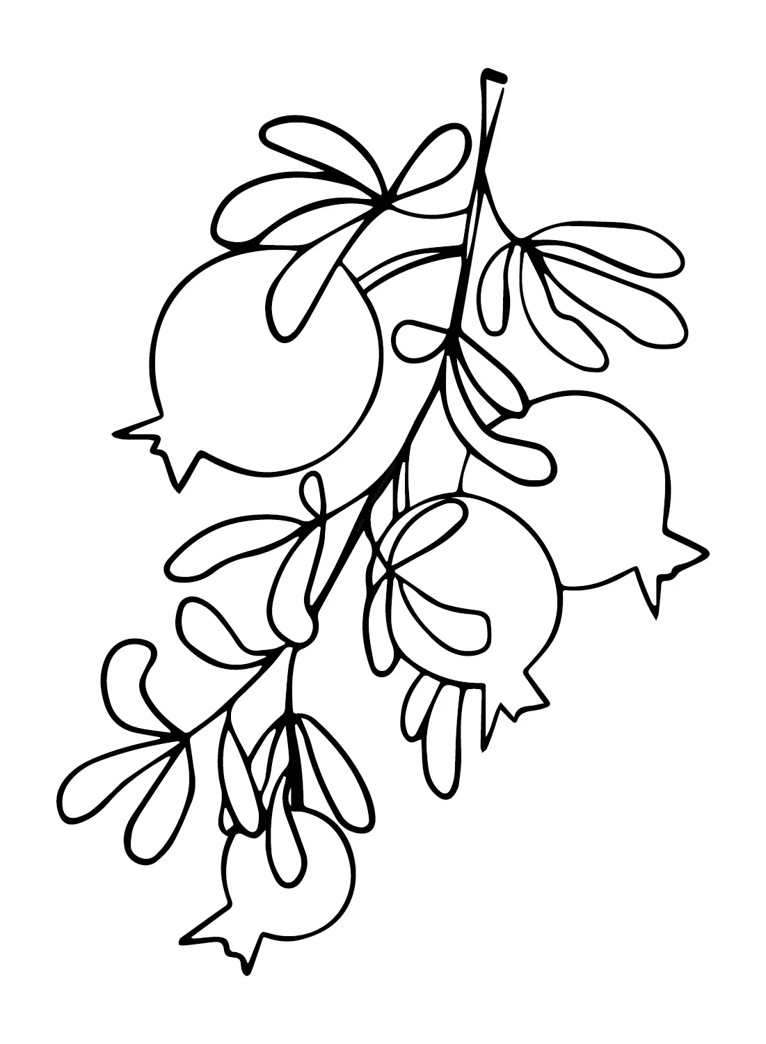 Desenhos de Roma Para Colorir 13