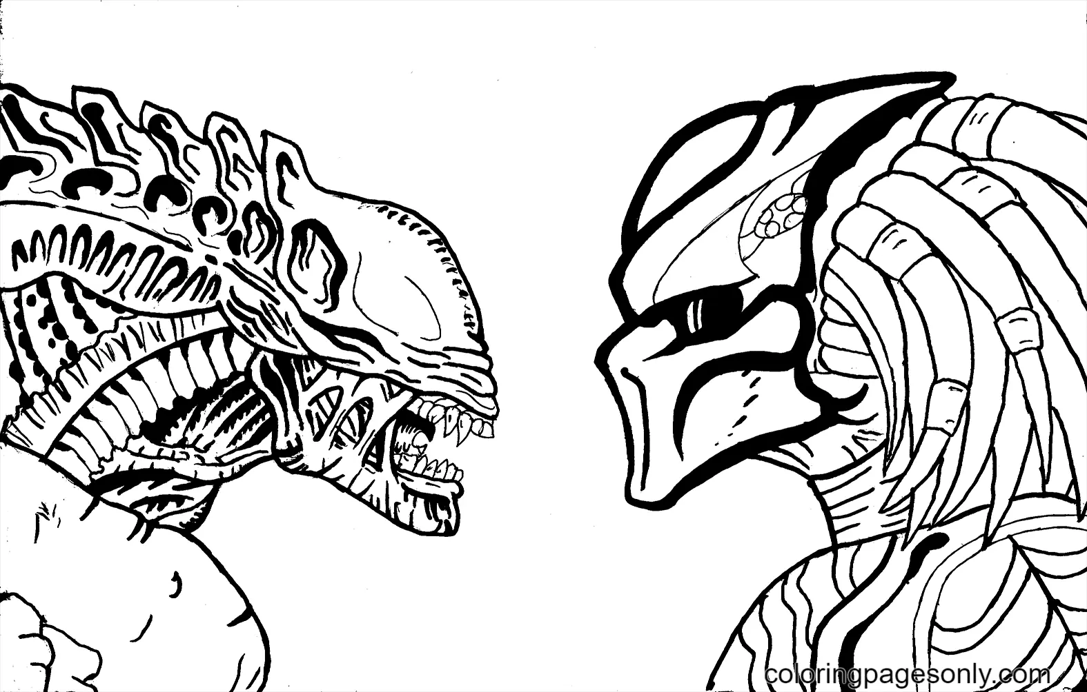 Desenhos de Predador Para Colorir 14 print and download Desenhos de Predador Para Colorir 14