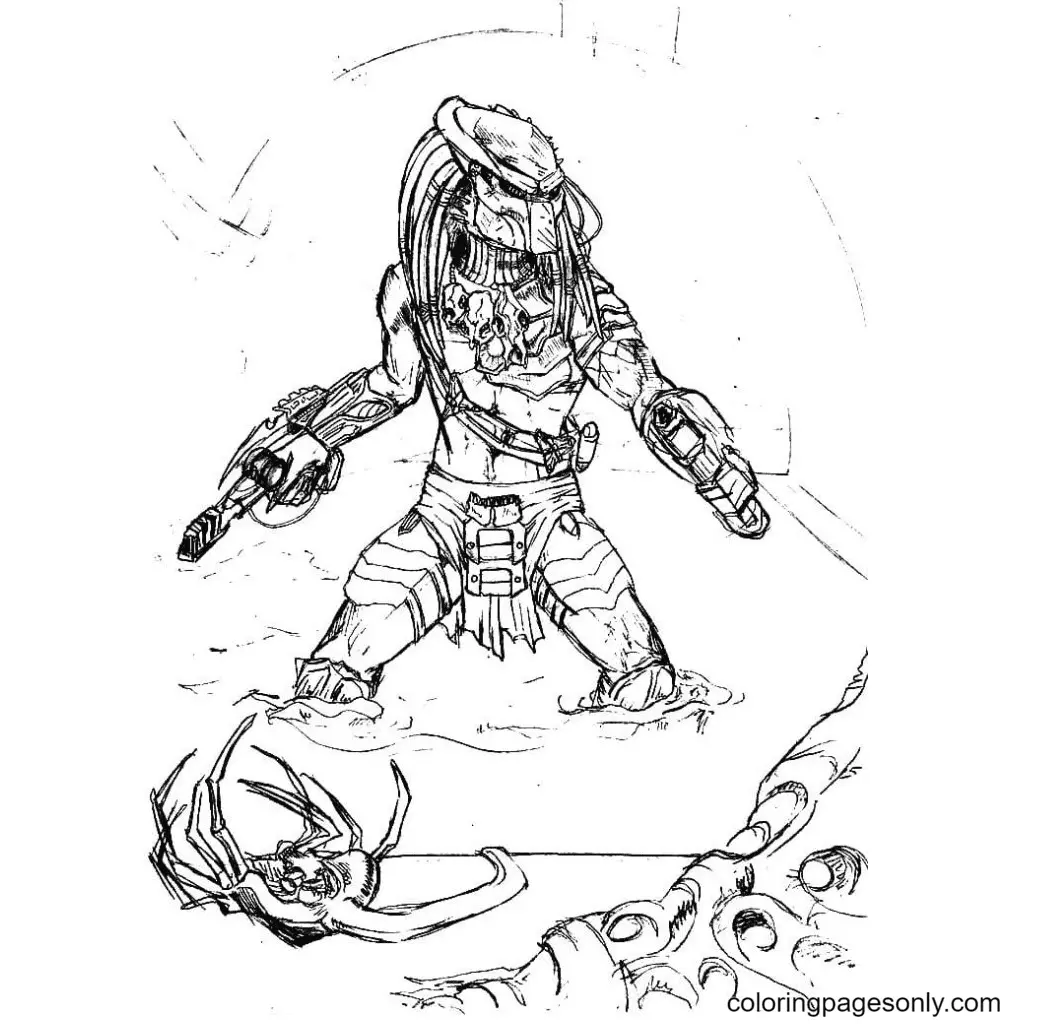 Predator Ausmalbilder 47