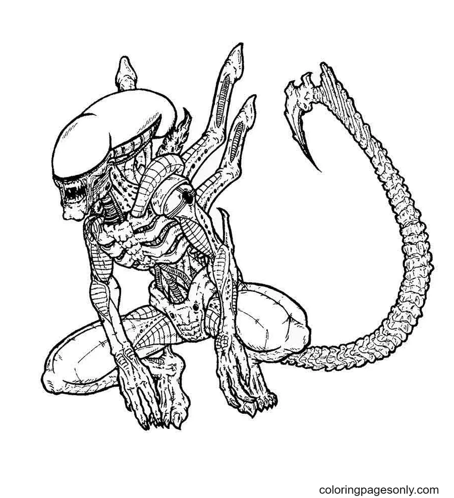 Desenhos de Predador Para Colorir 5 print and download Desenhos de Predador Para Colorir 5