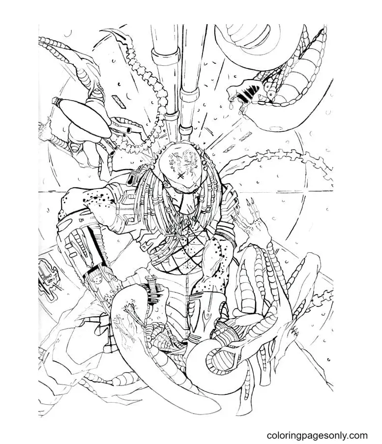 Predator Ausmalbilder 57