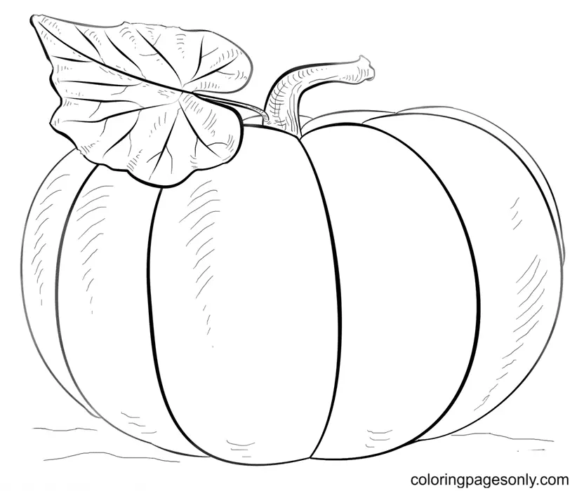 Pumpkin Coloring Pages 13