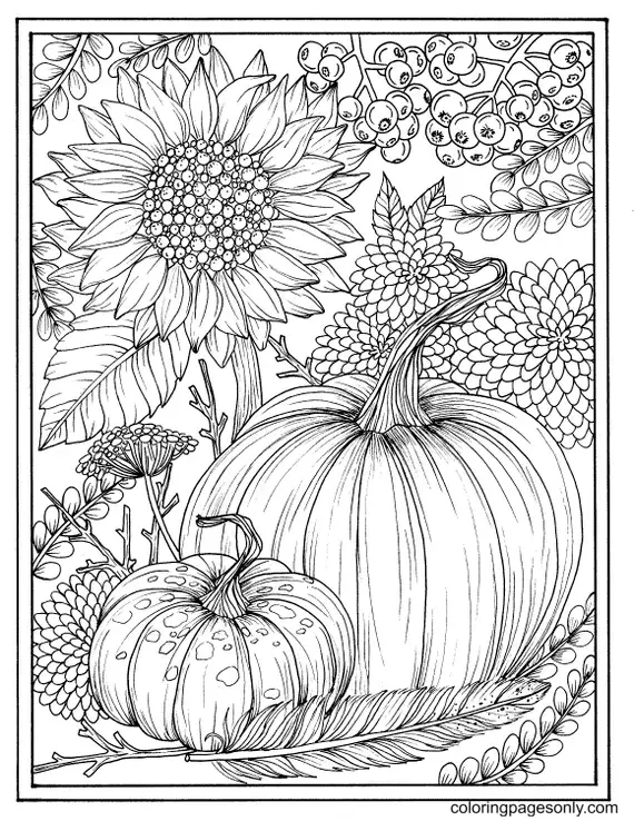 Pumpkin Coloring Pages 16