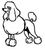 Cachorros Para Colorear 14
