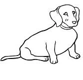Cachorros Para Colorear 24