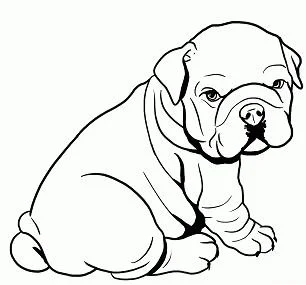 Cachorros Para Colorear 5