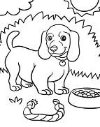Cachorros Para Colorear 8