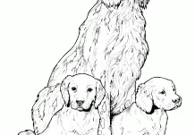 Welpen Hunde Freunde Ausmalbilder 105
