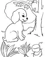 Desenhos de Puppy Dog Pals Para Colorir 157