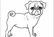 Welpen Hunde Freunde Ausmalbilder 167