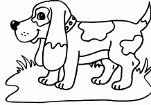 Desenhos de Puppy Dog Pals Para Colorir 256