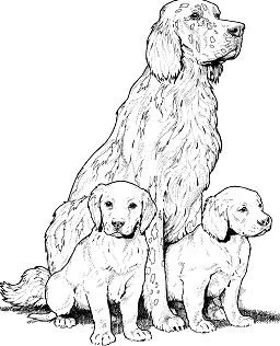 Welpen Hunde Freunde Ausmalbilder 57