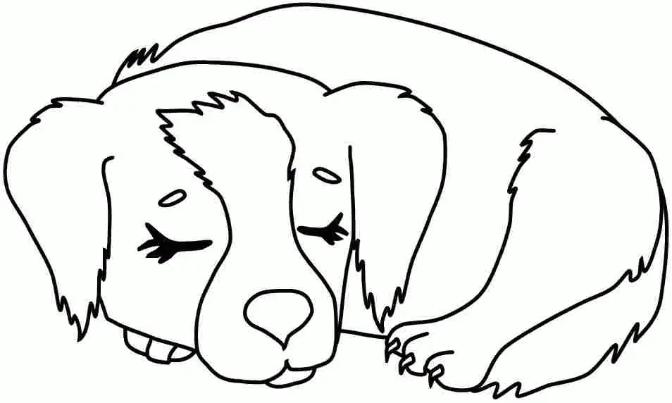 Puppy Dog Pals Para Colorear 96
