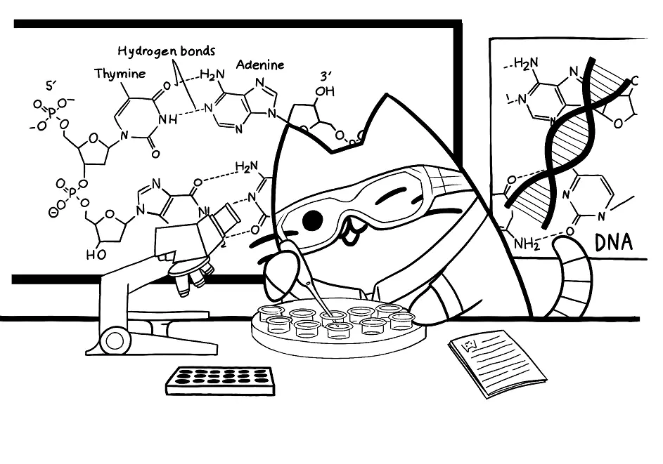 Pusheen Coloring Pages 211