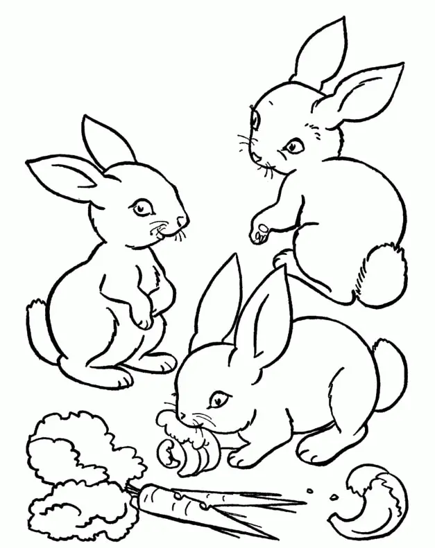 Conejos Para Colorear 10