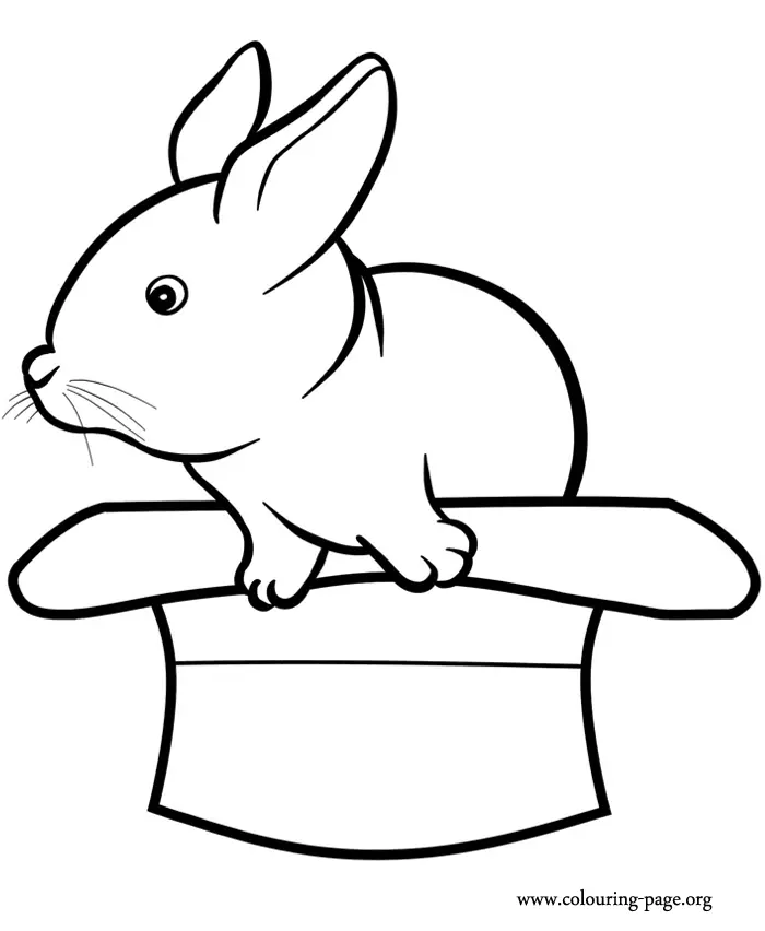 Conejos Para Colorear 11