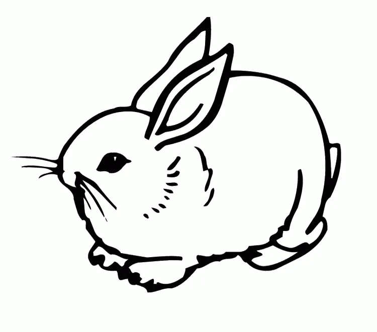 Conejos Para Colorear 14