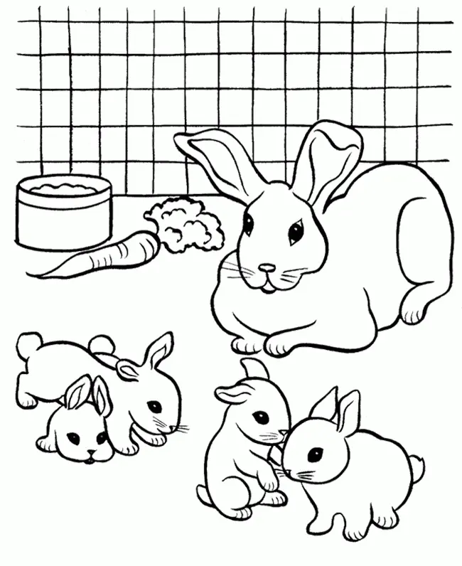 Conejos Para Colorear 15