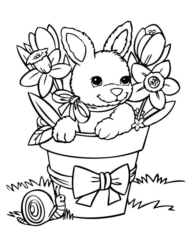 Conejos Para Colorear 16
