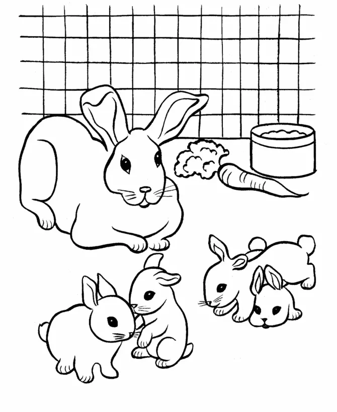 Conejos Para Colorear 22