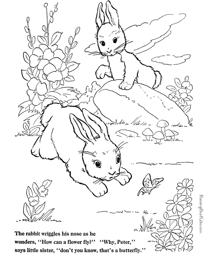 Conejos Para Colorear 23