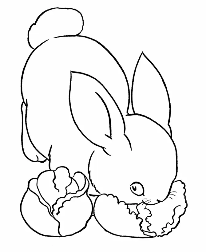 Conejos Para Colorear 39