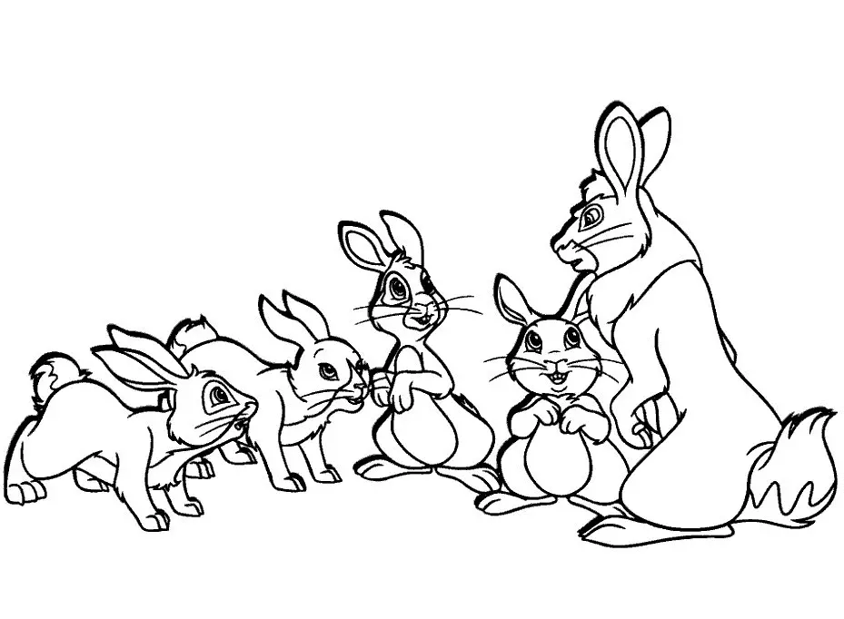Conejos Para Colorear 46